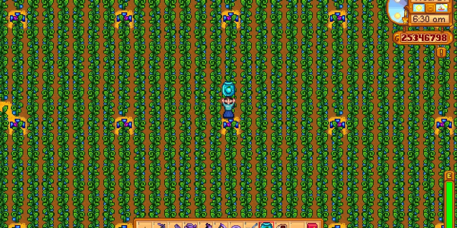Ảnh chụp màn hình một trang trại Ancient Fruit khổng lồ trong Stardew Valley, cây cối bao phủ toàn bộ màn hình