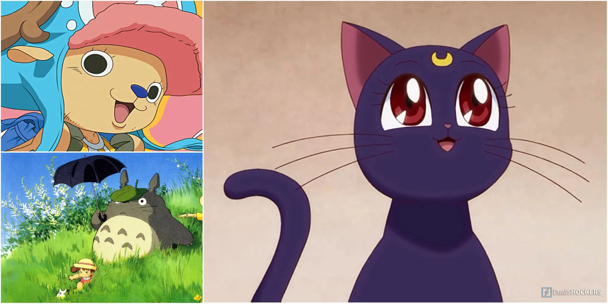 Bộ ba linh vật anime đáng yêu: Tony Tony Chopper, Totoro và Luna