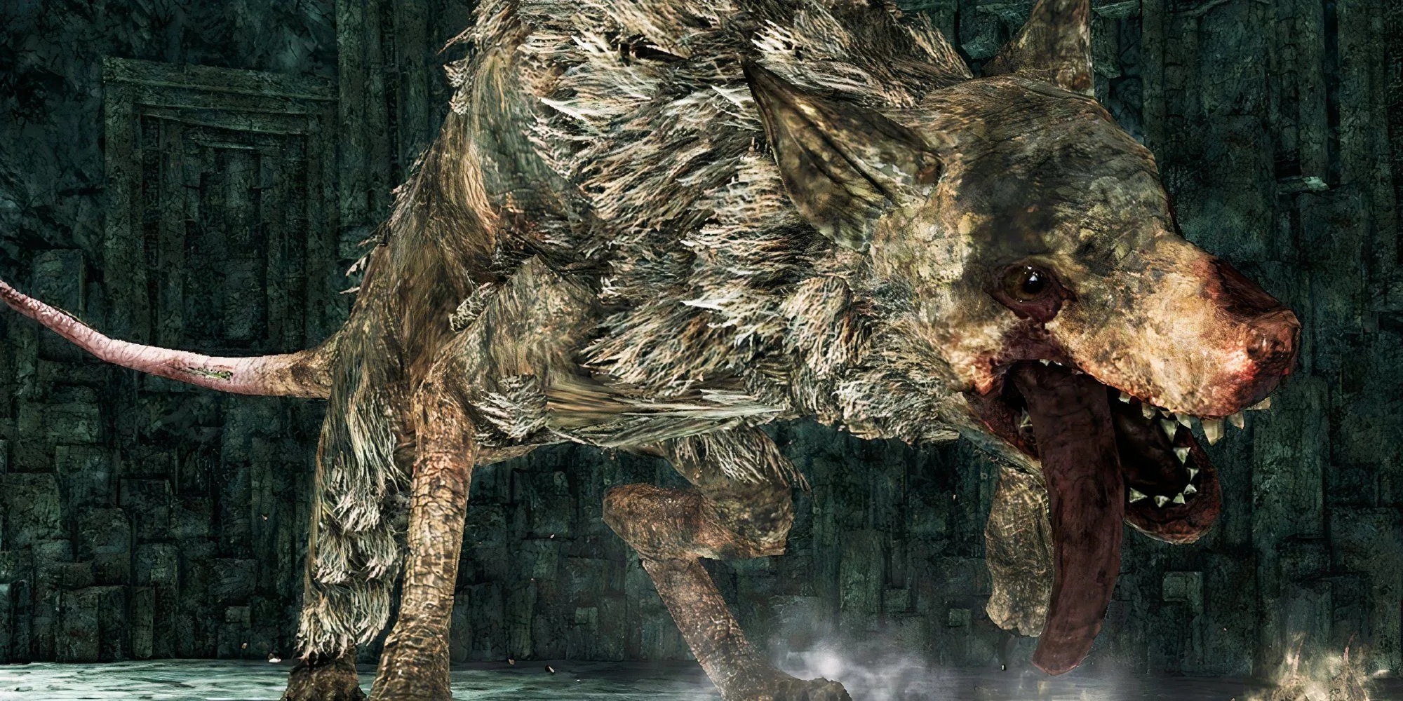 Boss Royal Rat Authority nhiều phase trong Dark Souls 2 cùng bầy chuột con