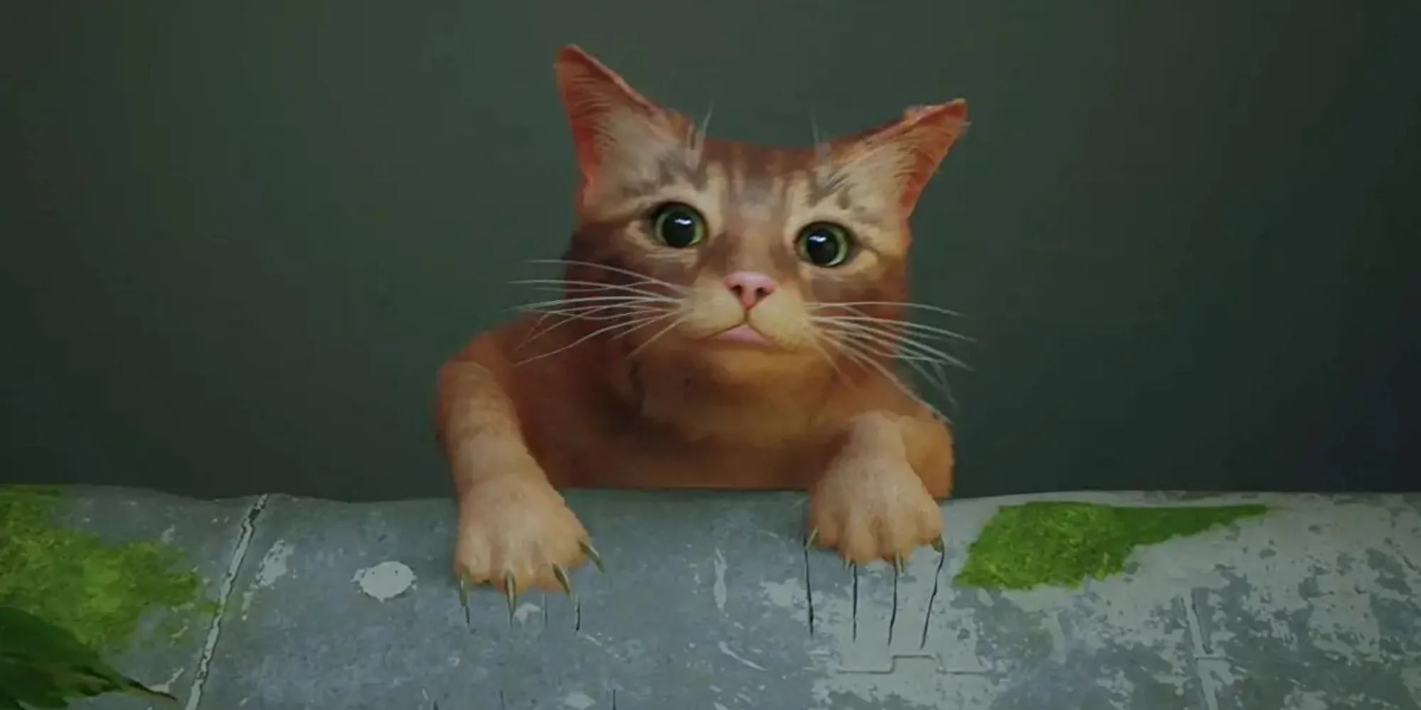 Cảnh mở đầu cảm xúc trong Stray