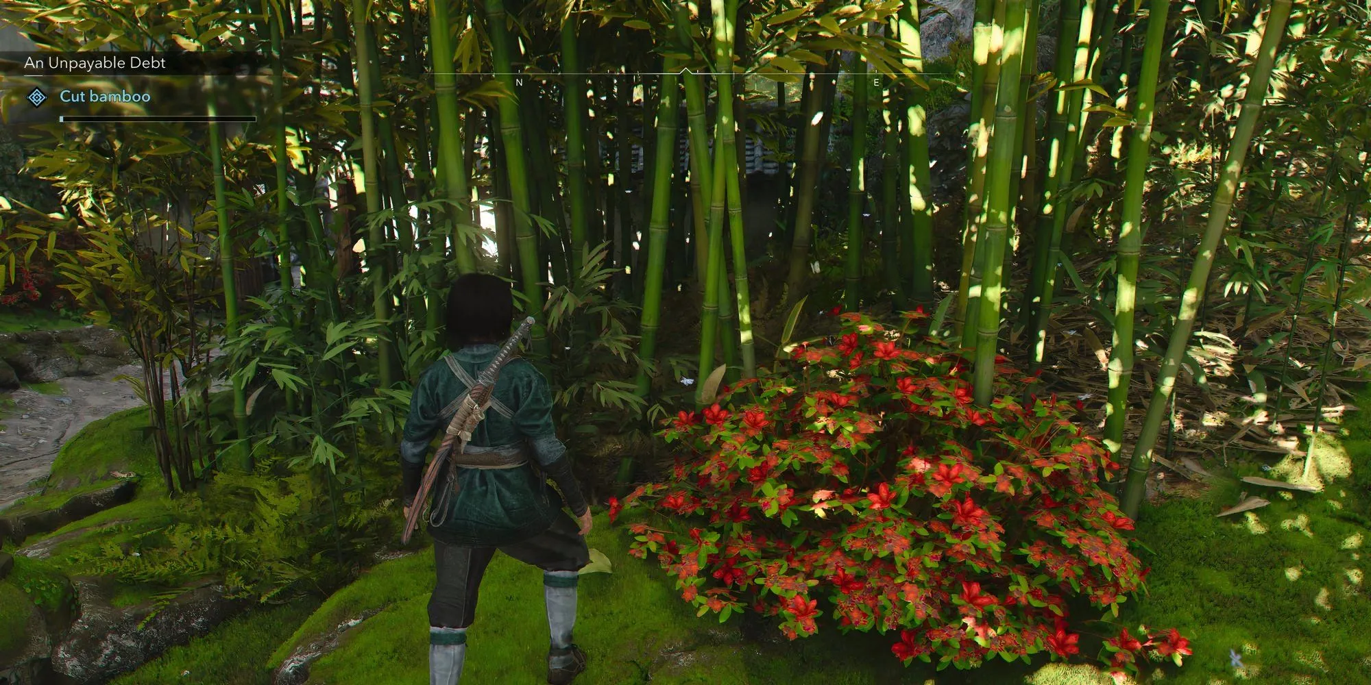 Naoe đang chặt tre để luyện tập trong đền Makinoodera - Assassin's Creed Shadows