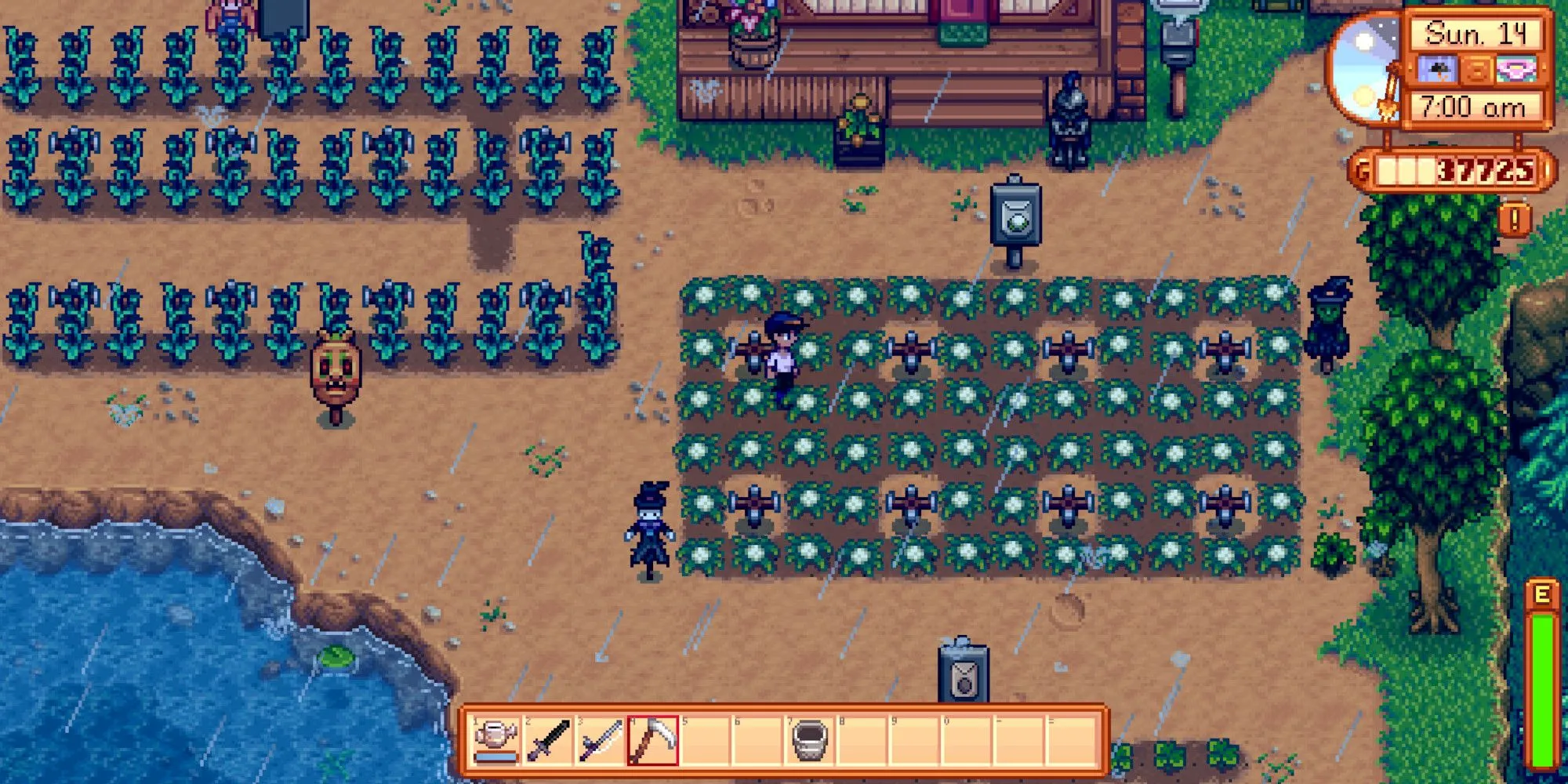 Người chơi làm nông trên cánh đồng dưới trời mưa trong Stardew Valley, biểu tượng của dòng game nông trại