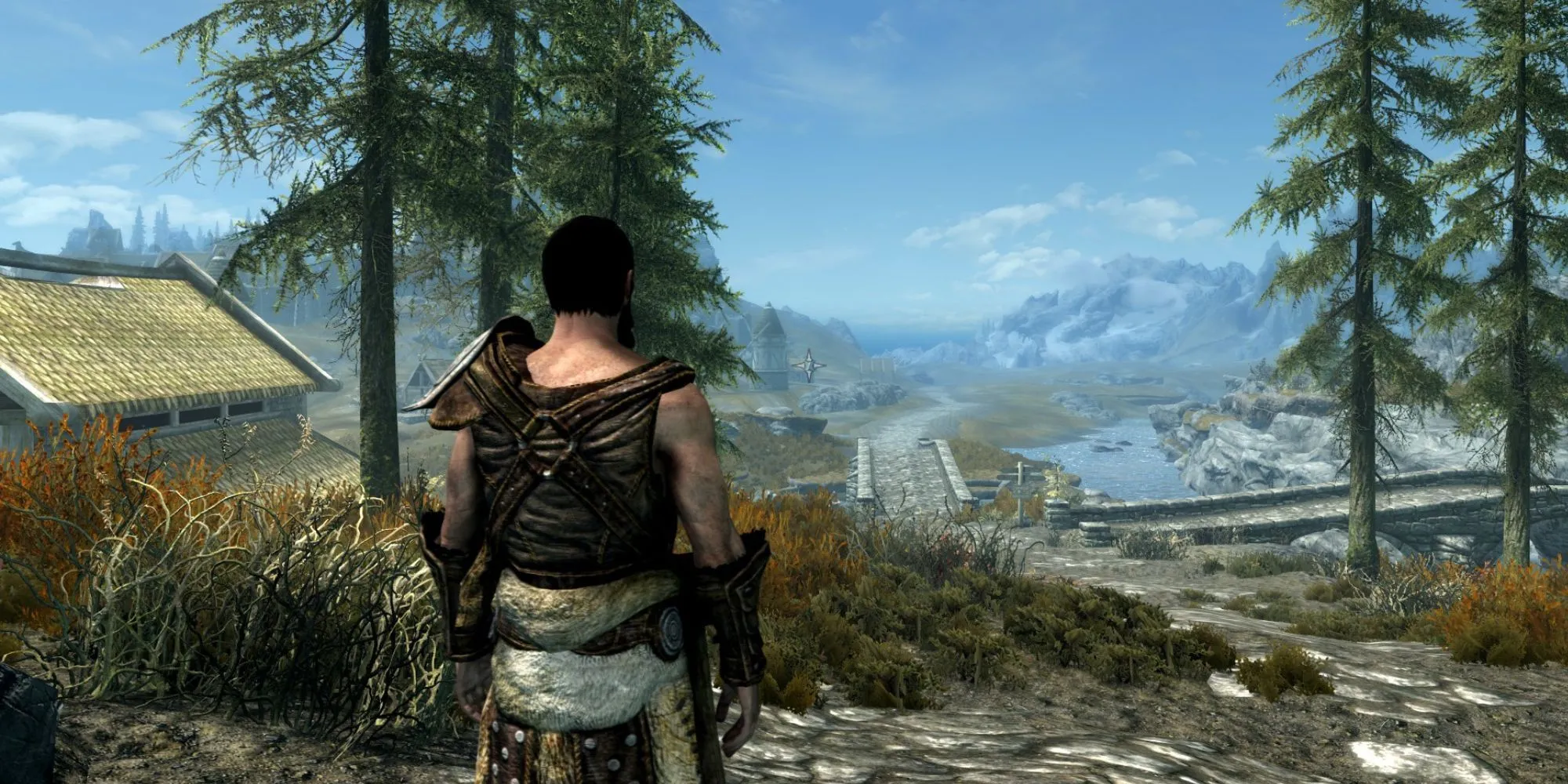 Nhân vật trong Skyrim nhìn từ phía sau, đứng trước khung cảnh núi non hùng vĩ