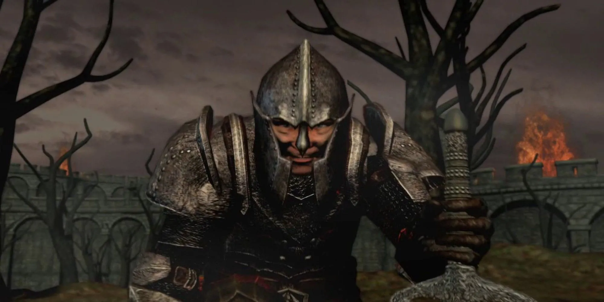 Nhân vật trong The Elder Scrolls 4: Oblivion nhìn chằm chằm vào màn hình với vẻ tức giận