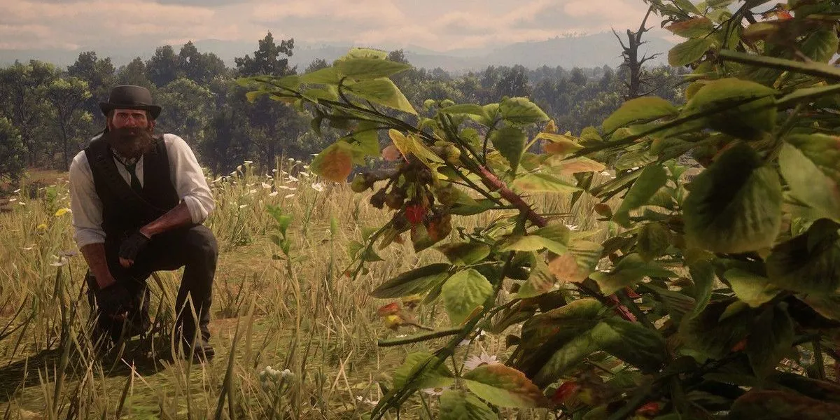 Arthur thực hiện nhiệm vụ thu thập trong Red Dead Redemption 2