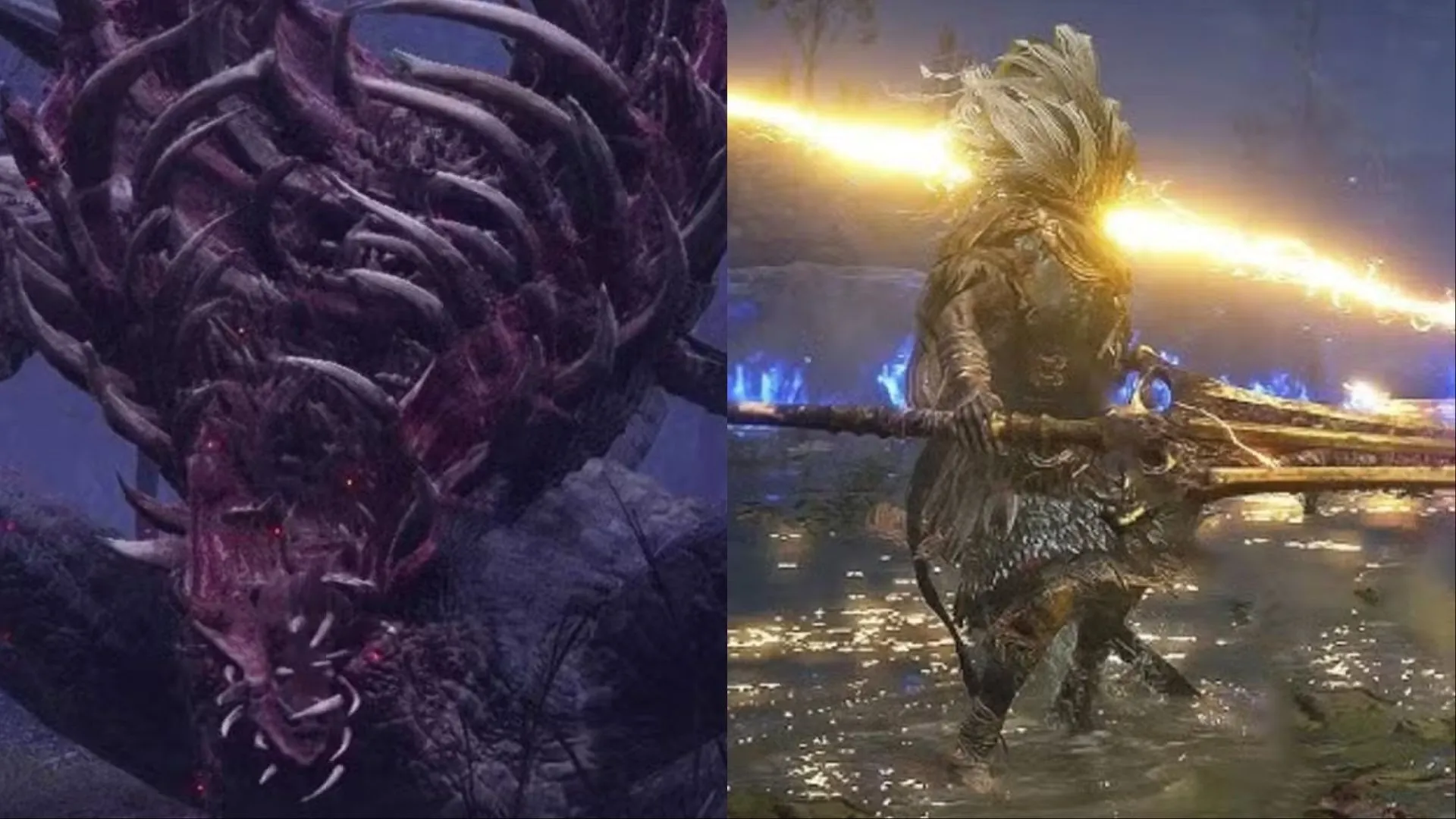 Gaping Dragon và Nameless King xuất hiện trong sự kiện Nightreign của Elden Ring, minh họa trùm từ game cũ