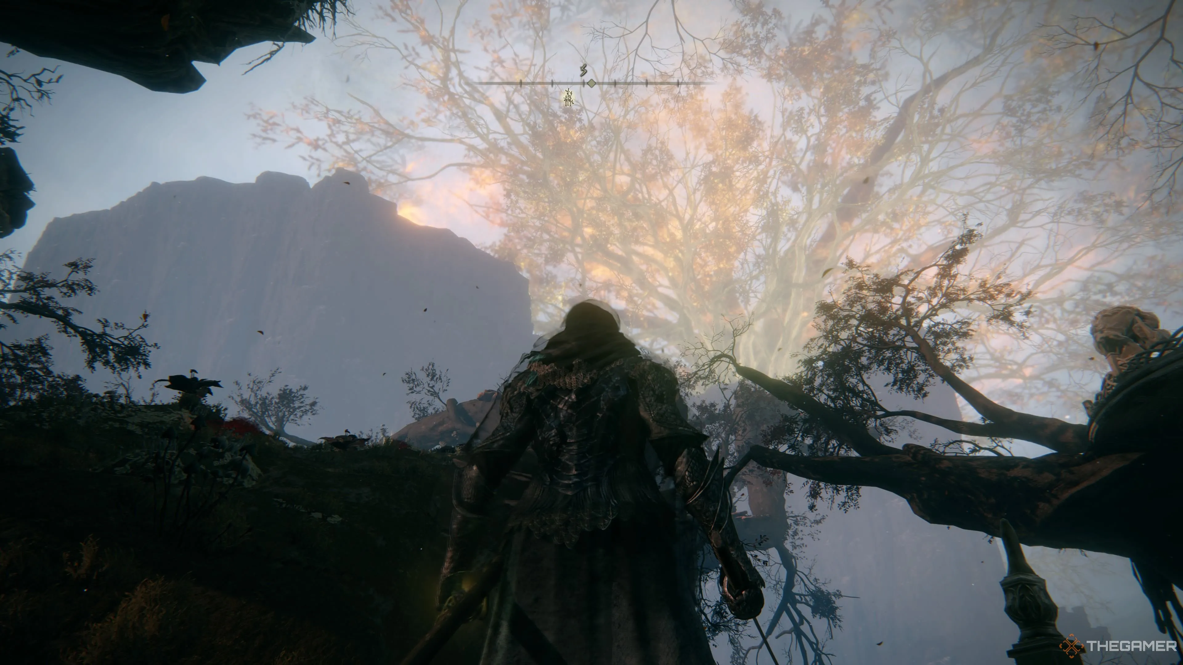 Lối đi vô hình trong Hidden Path to Haligtree Elden Ring