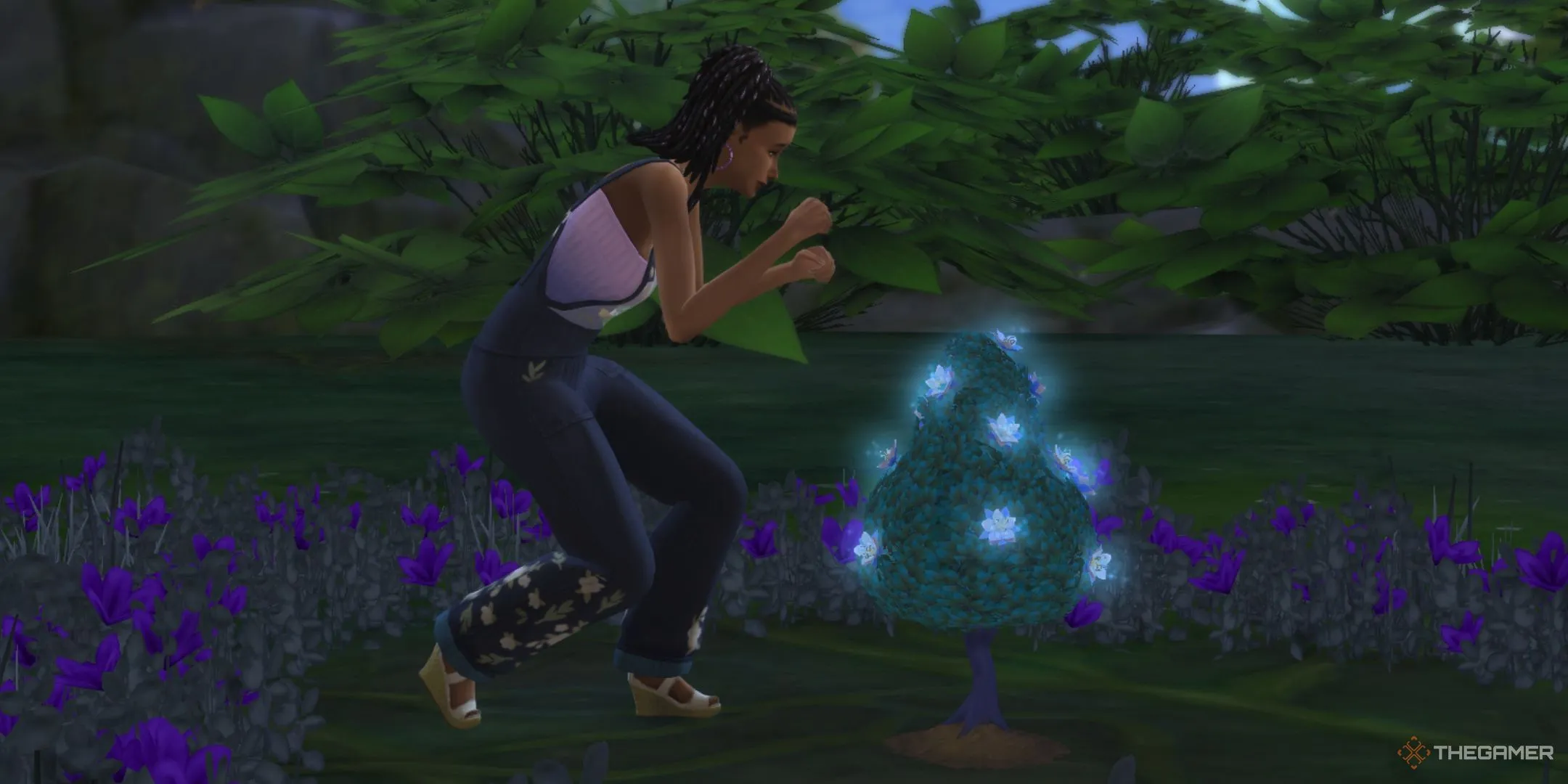 Một Sim đang thu thập cánh hoa hào quang tại Everdew trong The Sims 4 Enchanted By Nature.