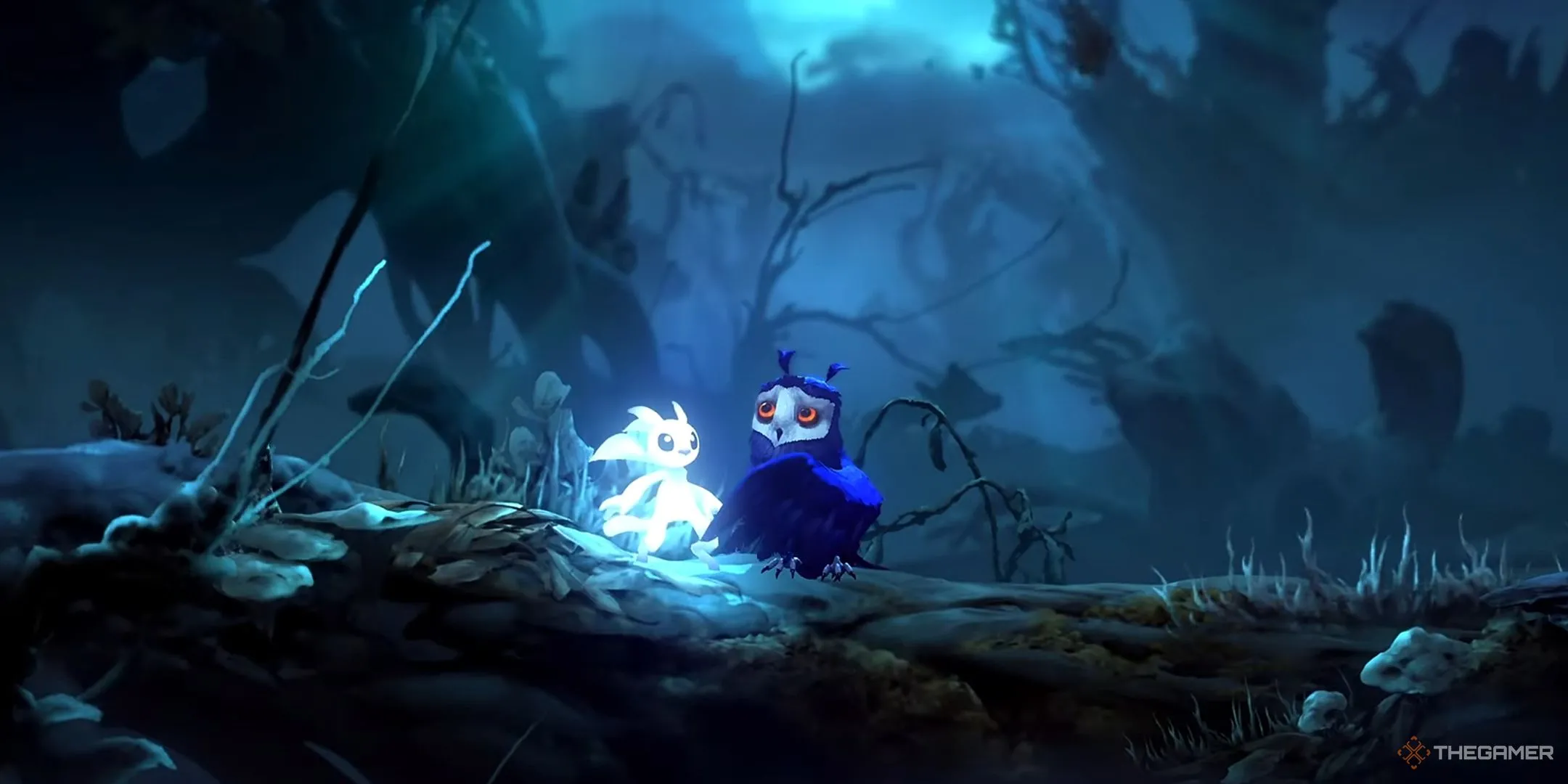 Ori và Ku trong khoảnh khắc đầy cảm xúc trong Ori and the Will of the Wisps
