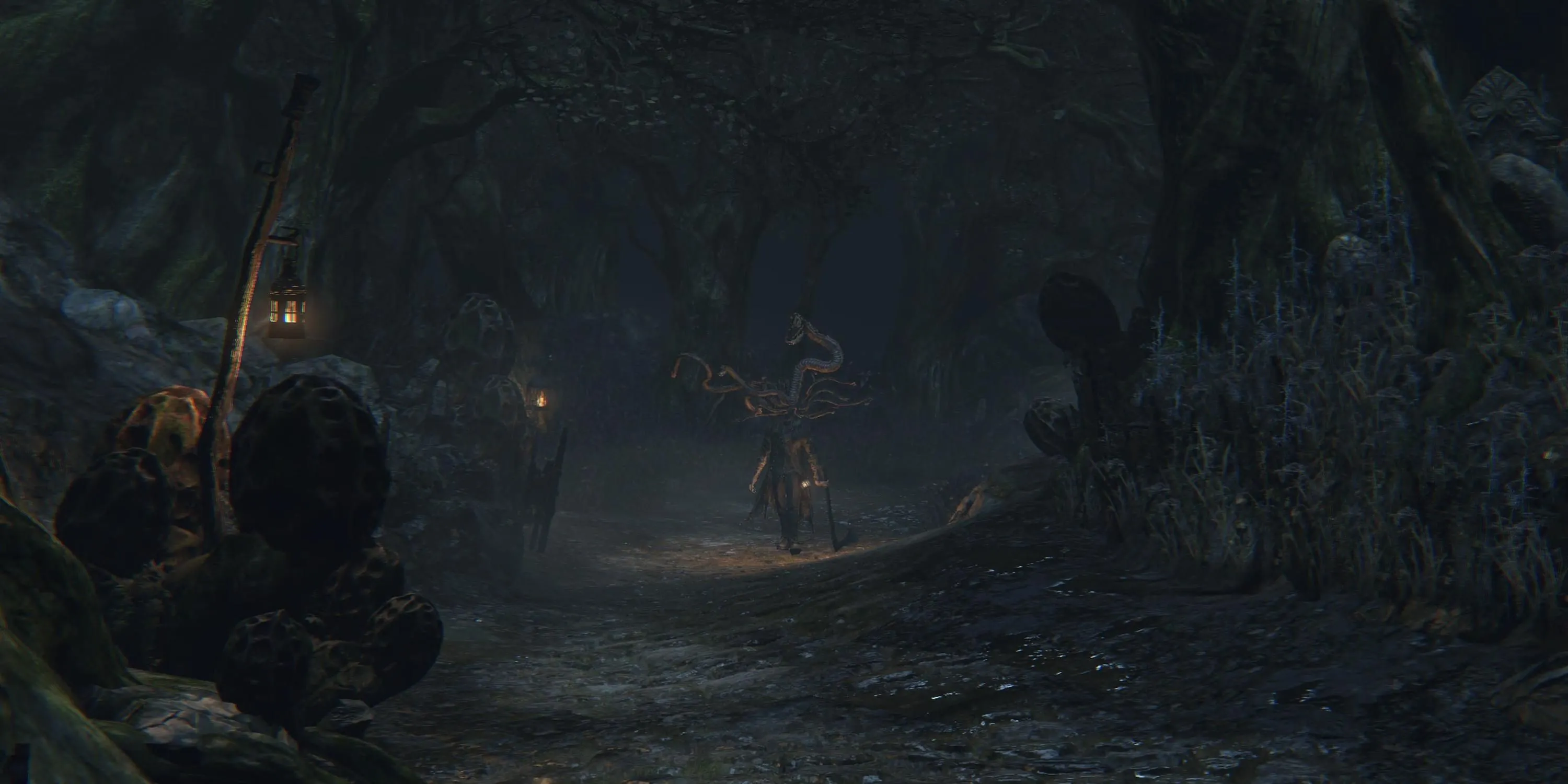 Thợ săn nhìn chằm chằm vào kẻ thù trong Rừng Cấm (Forbidden Woods), bối cảnh kinh hoàng của Bloodborne.