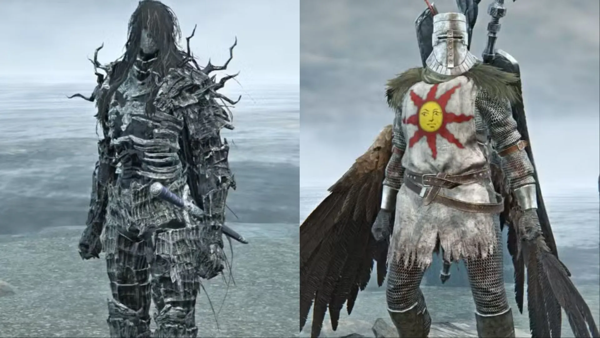 Trang phục Darkwraith và Sunlight Knight (Solaire) trong Elden Ring Nightreign, gợi nhớ Dark Souls