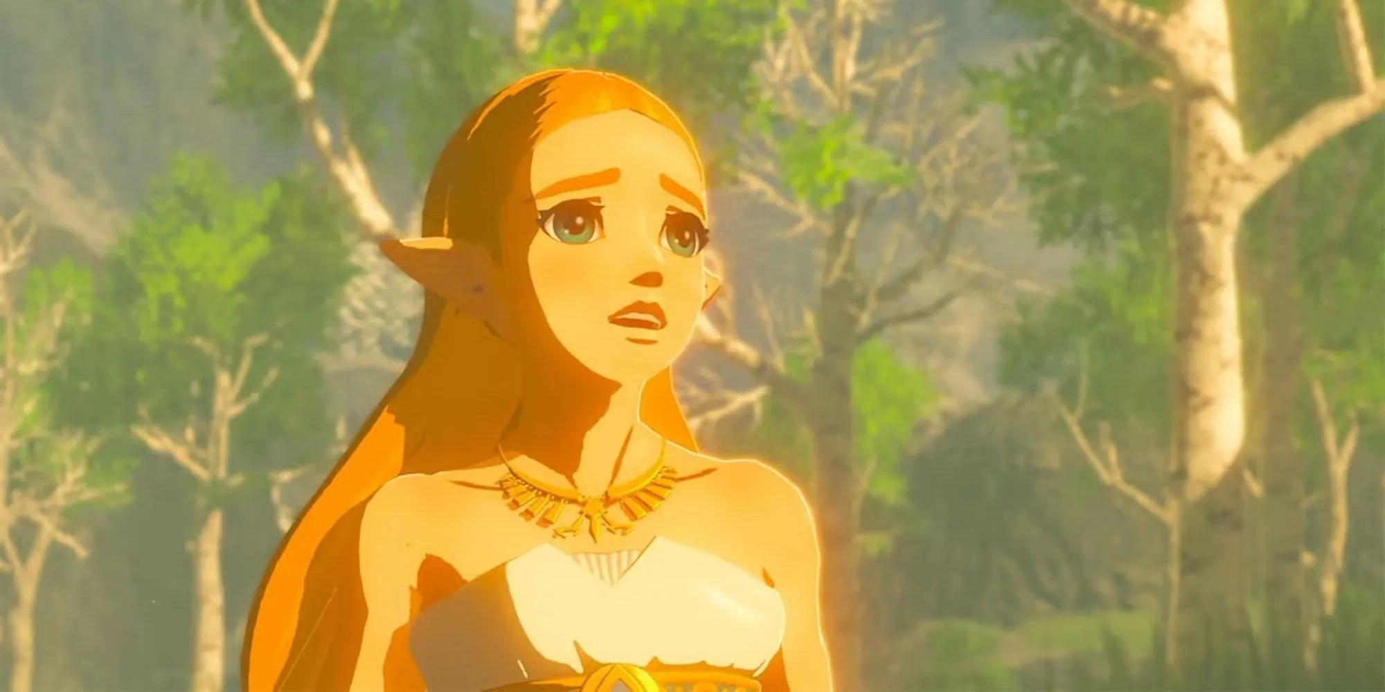 Zelda trong The Legend of Zelda: Breath of the Wild, biểu tượng của sự ngưỡng mộ dành cho người hùng Link.